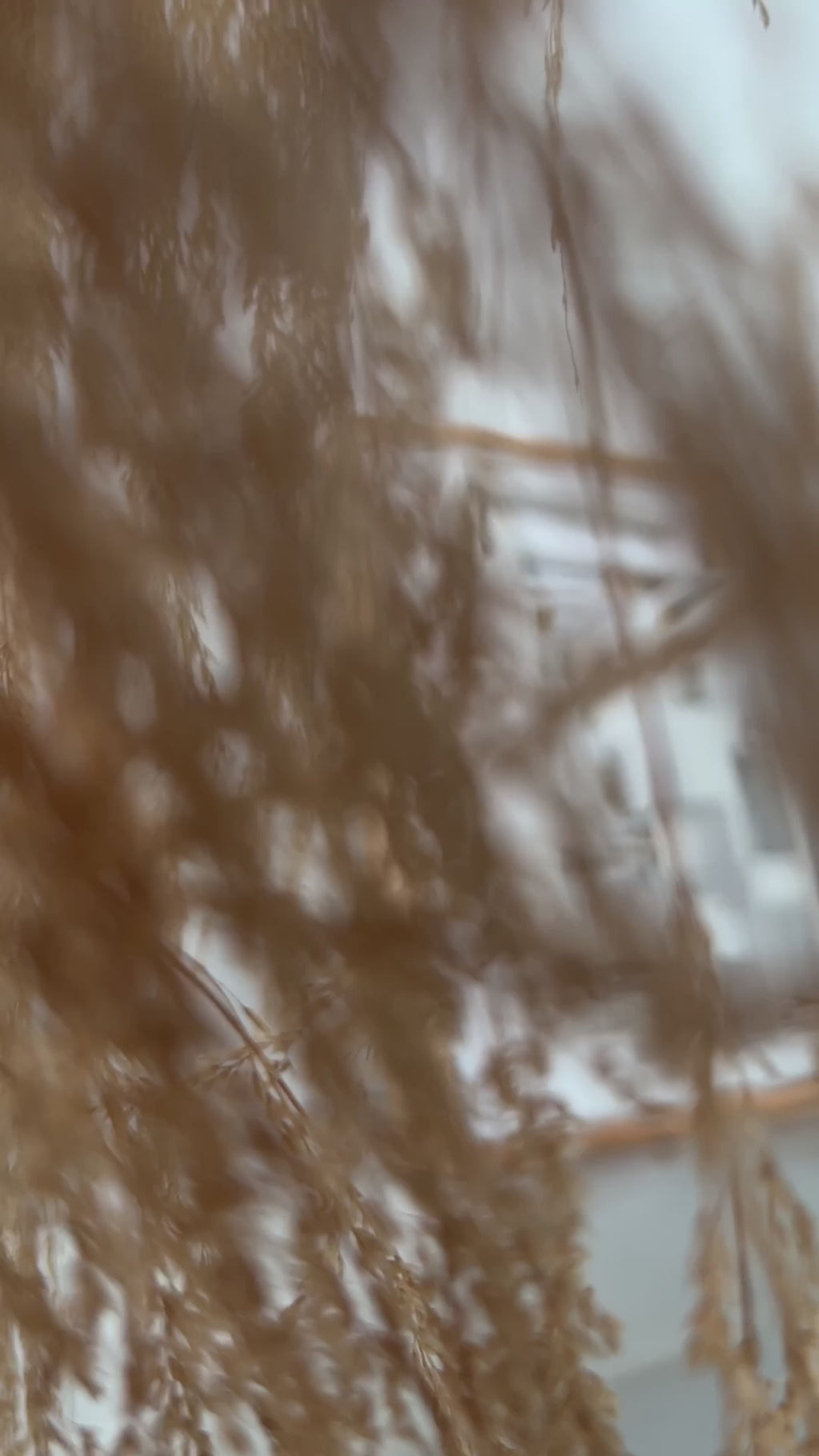 NEST 3D Floor Plan Model